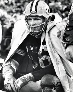 ray-nitschke-1968