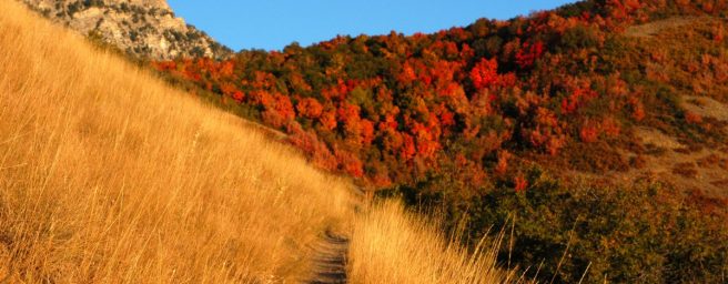 cropped-autumn_mountain_trail.jpg